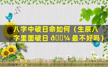 八字中破日命如何（生辰八字里面破日 🌼 最不好吗）